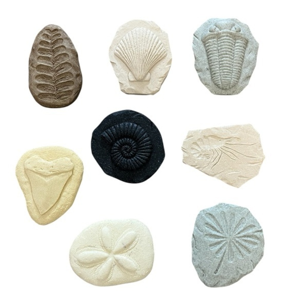 KAPLAN STEM Play & Explore 8-Piece Fossil Set